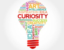 Ways to demonstrate curiosity during interviews