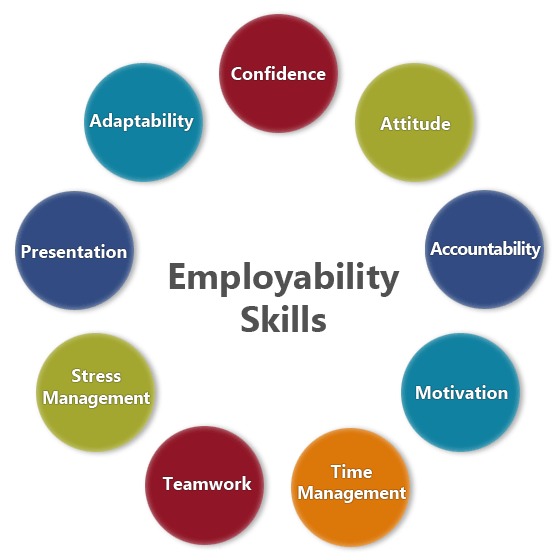 A circular diagram highlighting key employability skills around the center text “Employability Skills.” The circle includes Confidence, Attitude, Accountability, Motivation, Time Management, Teamwork, Stress Management, Presentation, and Adaptability. These skills represent the qualities that help freshers perform effectively in the workplace and stand out to employers.